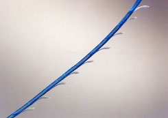 Thread Lift - APTOS Thread