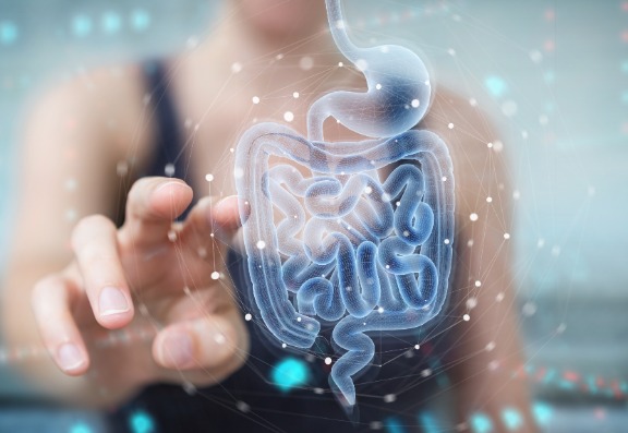 The microbiome The microbiome