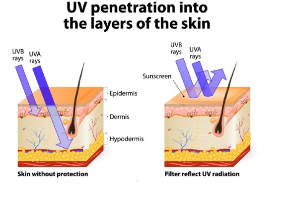 How to protect my hair during the summer months?