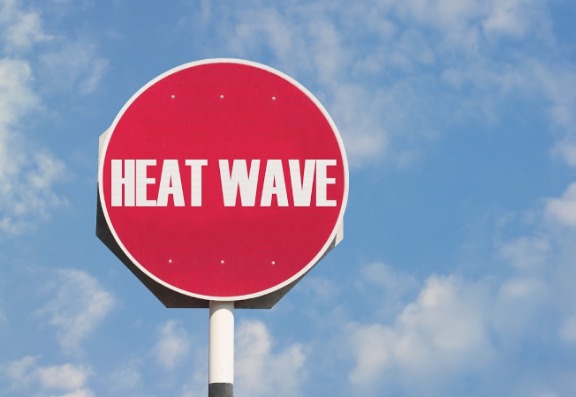 Is hair loss more common in summer?