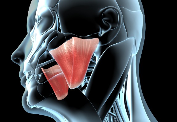 What is Masseter Muscle Botox? What is it primary use?