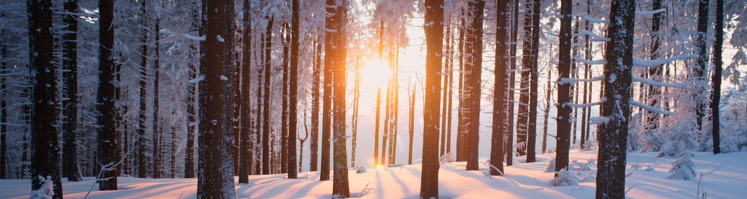 Combatting Winter Acne