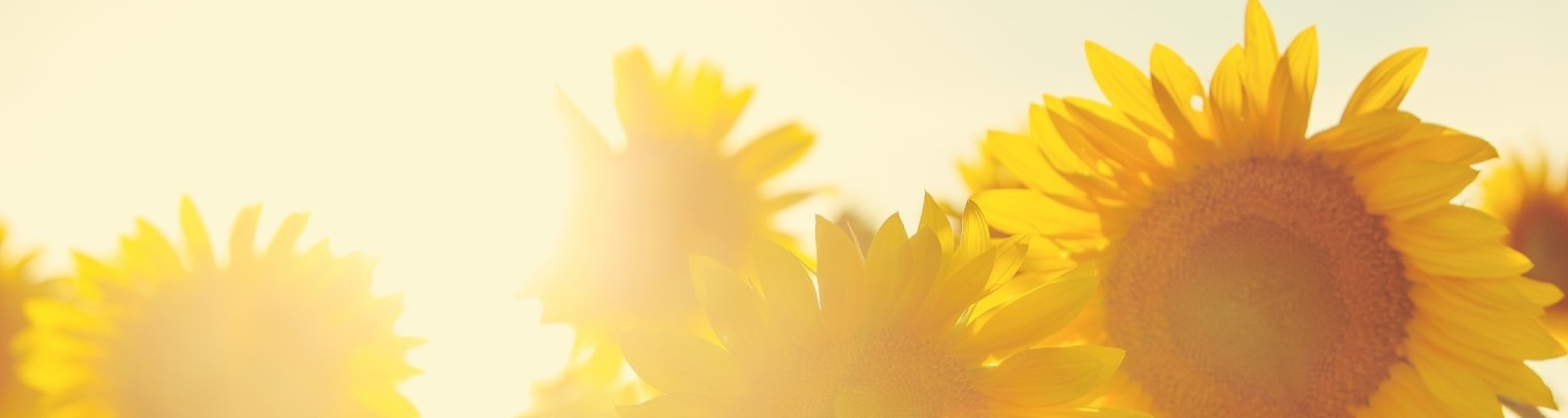 Does Sun Exposure on the Head Result in Hair Loss?