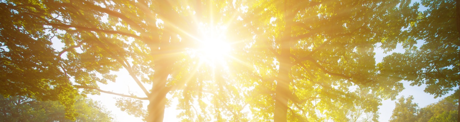 Making the sun your friend this summer
