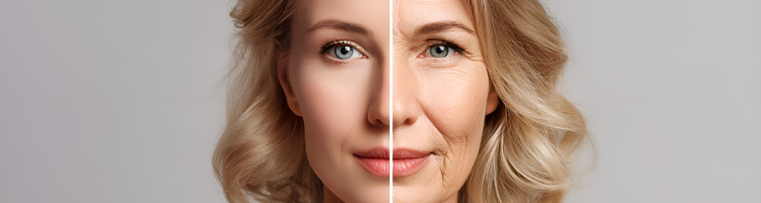 What Does Elastin Do for the Skin?