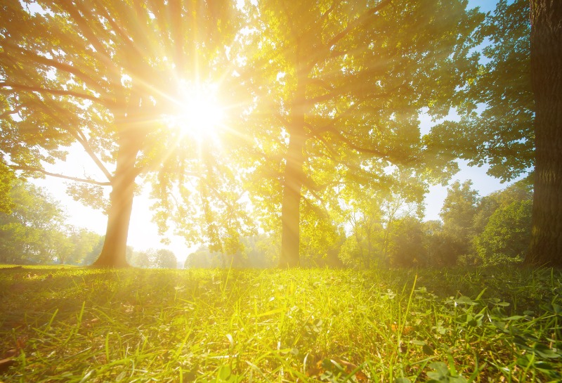Making the sun your friend this summer
