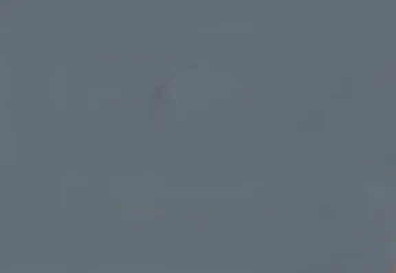 Plastic Surgery West One Right Banner