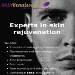 Skin Renaissance Right Banner