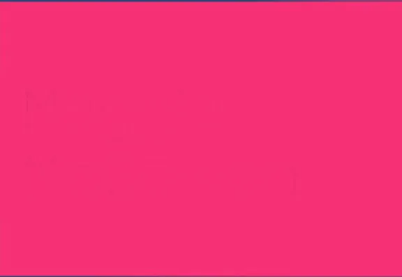 FACE 2000 Left Banner