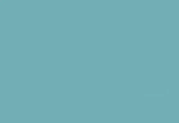 Skinesse Right Banner