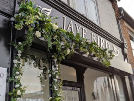 Jaye Bird Aesthetics