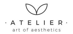 Art Of Aesthetics Logo