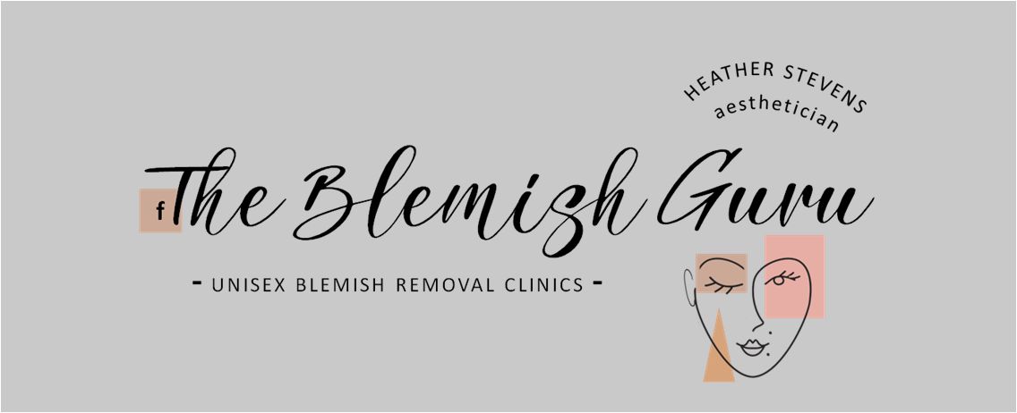 Blemish Guru Banner