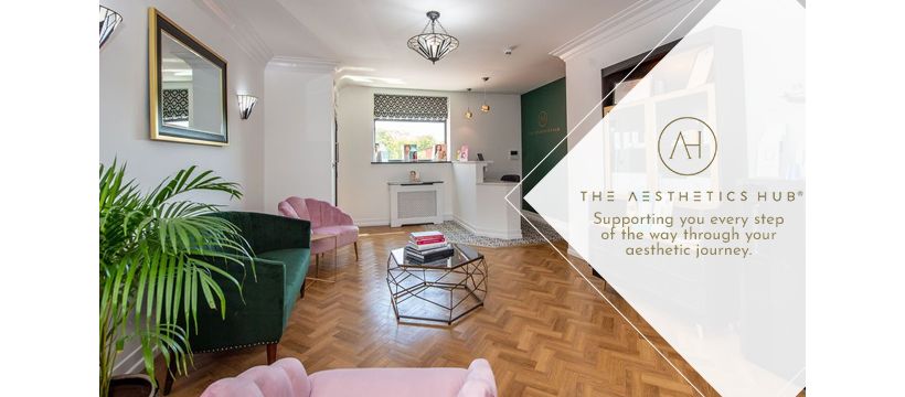 The Aesthetics Hub Banner