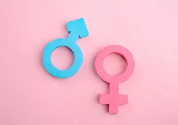 Genital Surgery ( Male and Female ) Genital Surgery ( Male and Female )