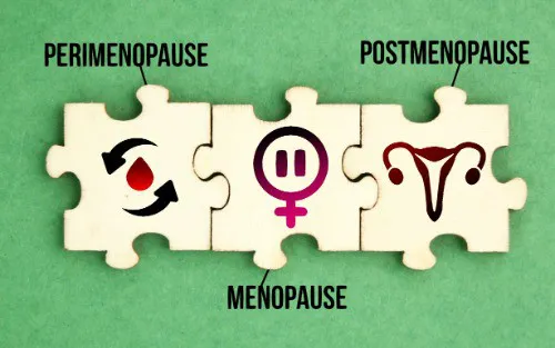 The Different Stages of Menopause