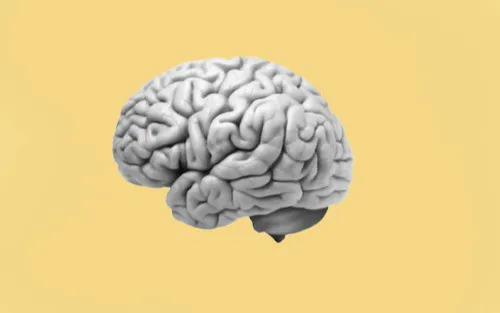 Cognitive Health