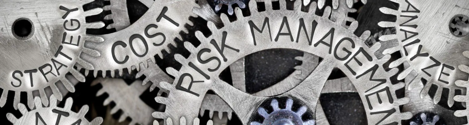 An Introduction to Risk Assessments