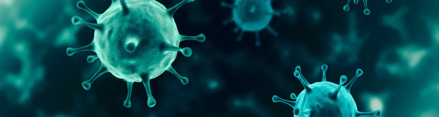 Coronavirus... One Month On