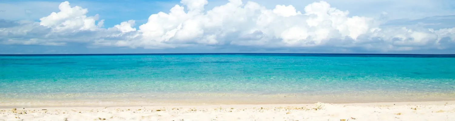 Free Guide: How to Manage Holiday Leave This Summer
