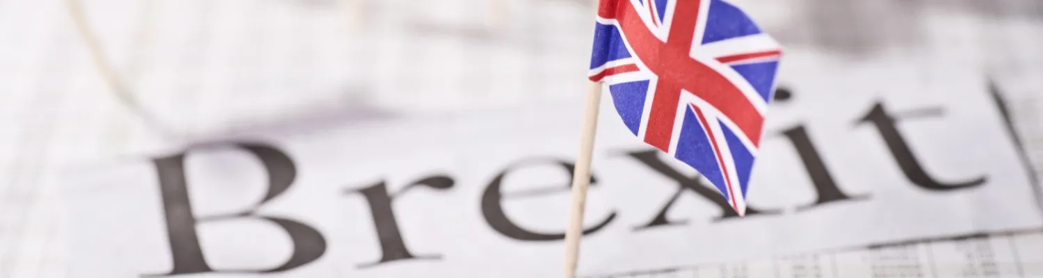 Guide: Brexit Strategy for Small Businesses