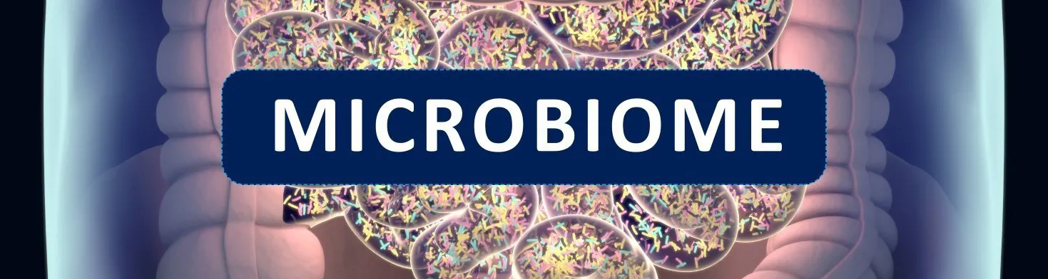 Microbiome and Skin