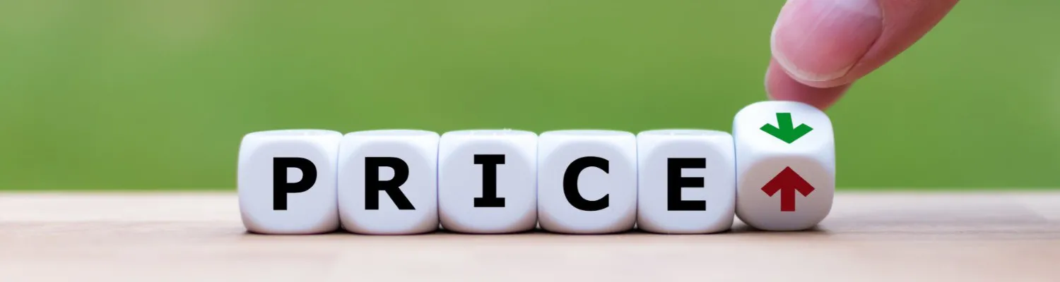 Aesthetic Pricing Strategies - Why I Charge What I Do!