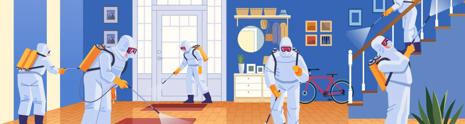 Review of New 30-Day Effective Disinfectant Solution