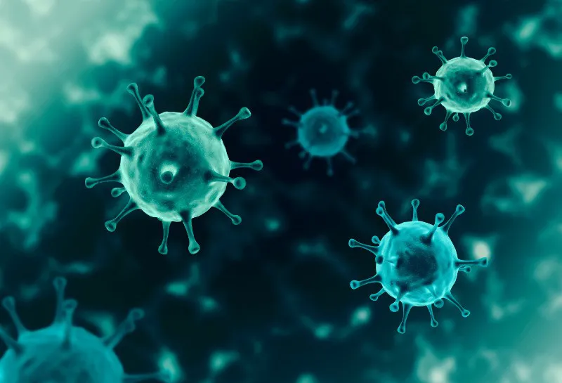 Coronavirus... One Month On