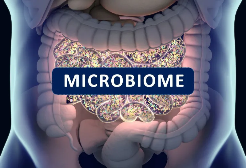 Microbiome and Skin
