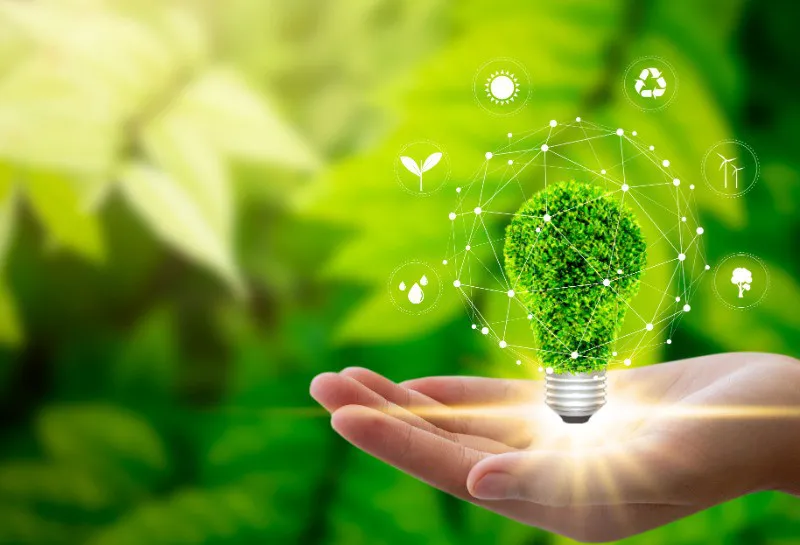 Survey Results: Balancing Aesthetics and Sustainability in Packaging