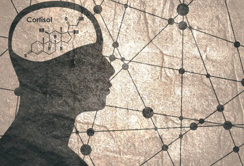 The Cortisol Connection