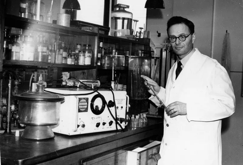 The History of Hyaluronic Acid