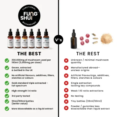 FungShui - High Strength Lion’s Mane Premium Mushroom Tincture Liquid Extract