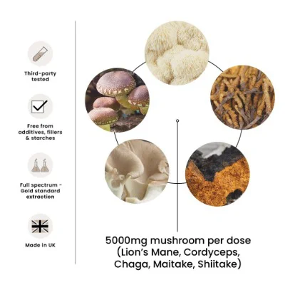 FungShui - High Strength 5-in-1 Premium Mushroom Tincture Liquid Extract