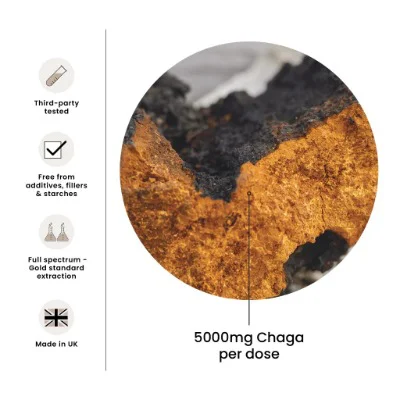 FungShui - High Strength Chaga Premium Mushroom Tincture Liquid Extract