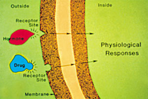 Chirality