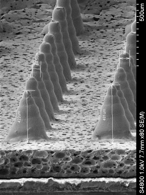 Radara microstructures